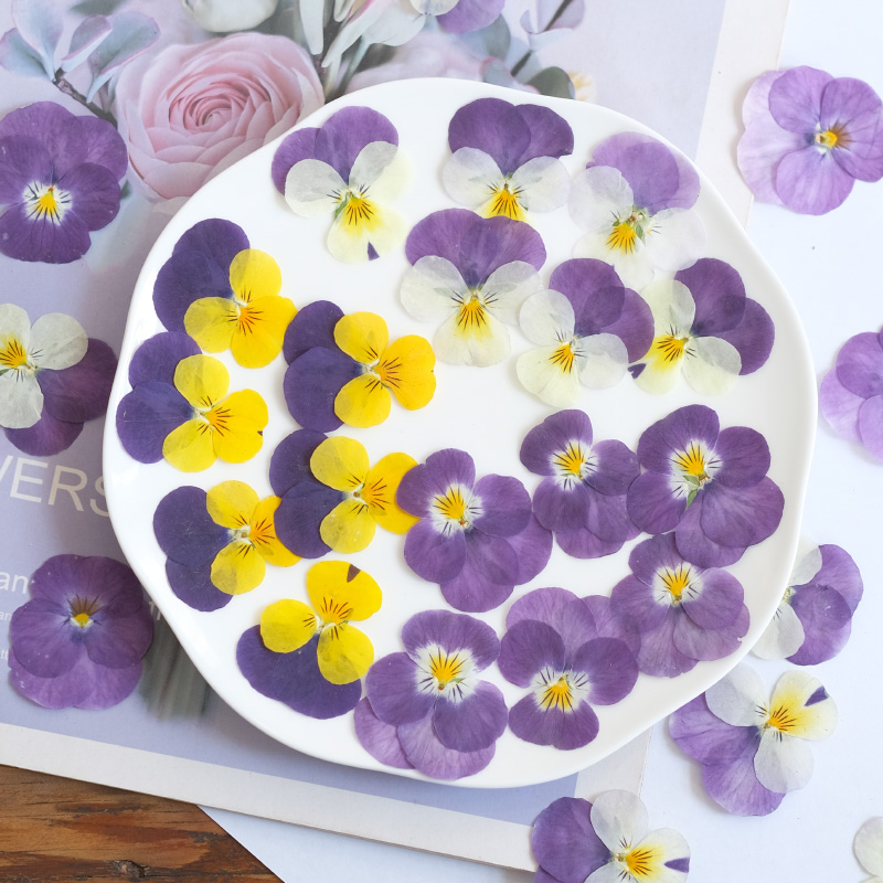 12 szt., naturalne suszone kwi – Photo Beauty Makeup recenzja i cena