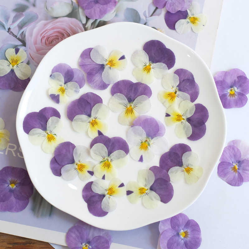 12 szt., naturalne suszone kwi – Photo Beauty Makeup recenzja i cena
